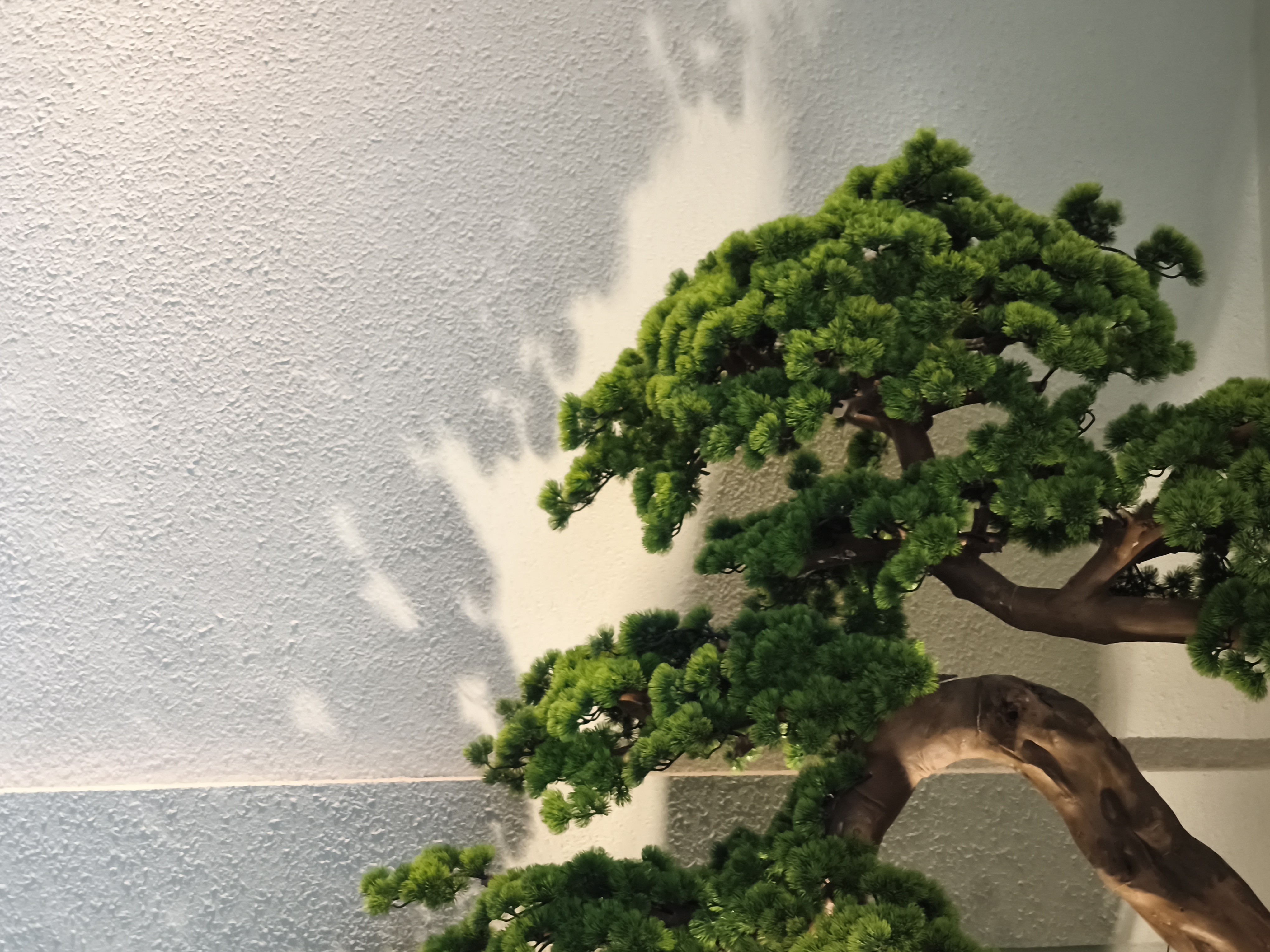 Gallery Photo 33
